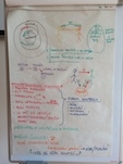 BCF Holistic management tahák Kompetenční akademie